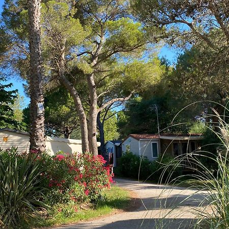 Camping De L'Arnel Villeneuve-lès-Maguelonne Eksteriør bilde